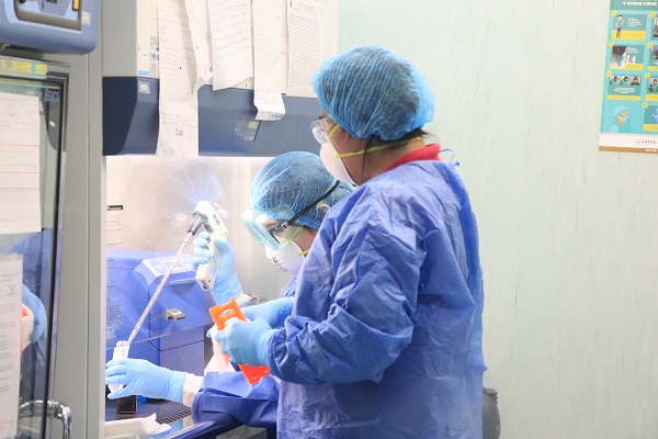 PRINCIPAL SSA_PRUEBAS