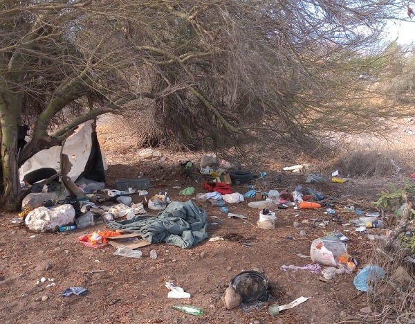 FOTO 2 REALIZA ZOFEMAT LIMPIEZA DE LITORALES CARRETEROS DE LA ZONASUR DE LORETO