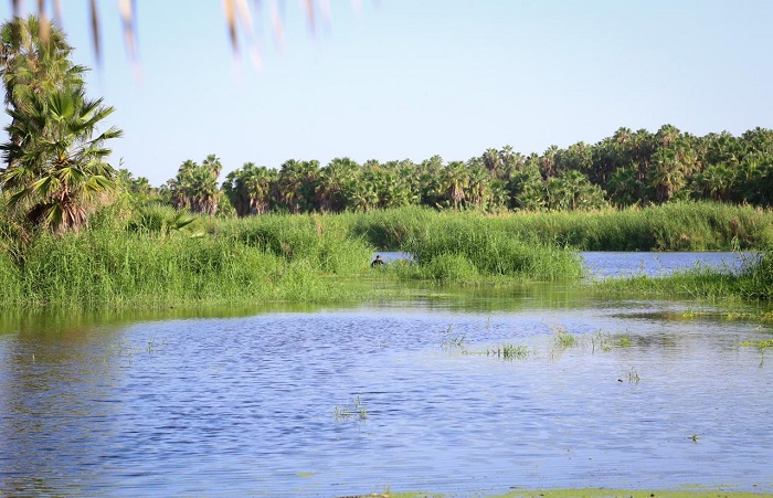 06 Contamos con cámaras y personal que monitorea el Estero de San José del Cabo Carlos López Montalvo (3)