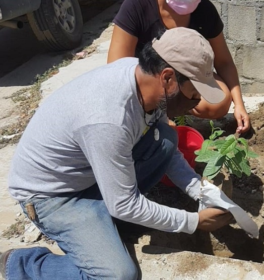 SETUES_REFORESTACIÓN