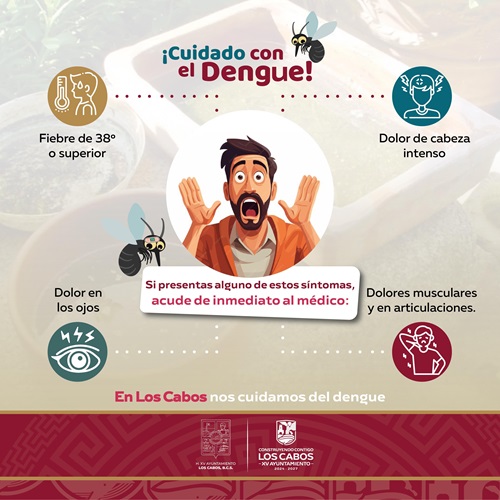 #LosCabos Campaña contra el dengue